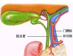 治疗胆管癌的费用